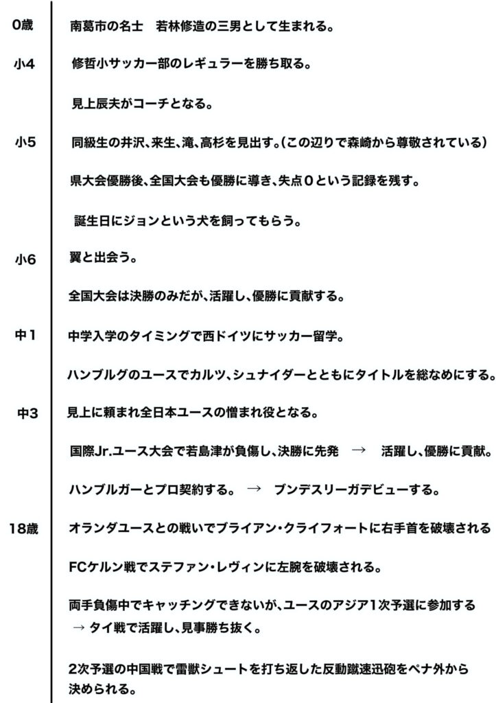 若林の時系列表１
